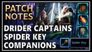 GAME UPDATE: Gzemnid, Drider Captains, More Companions, Spider Key & Random Vanity Pet - Neverwinter