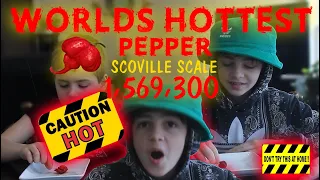 EATING THE WORLDS HOTTEST PEPPER!! (VOMIT ALERT) *DO NOT TRY AT HOME*