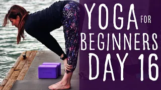 Yoga For Beginners At Home 30 Day Challenge (20 Minute) Day 16