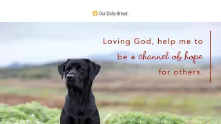 Labrador Angel | Audio Reading | Our Daily Bread Devotional | November 21, 2021