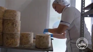 Производство сыра в Городецкой сыроварне Курцево