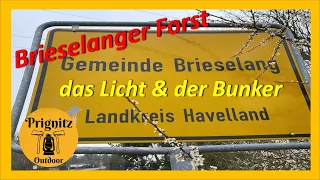 Brieselanger Forst das Licht und der Bunker.