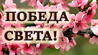 🌺 САМЫЙ СИЛЬНЫЙ СТИХ НА ПАСХУ!!! Христианские стихи. МСЦ ЕХБ. Оставим мысленно...🌺