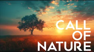 Aura Echo - Calm Tones of Nature  [1 hour] Calming, Nature, Anti-Stress Music, Piano, Peace