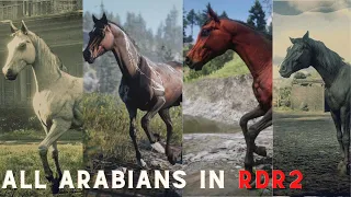 RDR2 | All Arabian horses Location in Red Dead Redemption 2