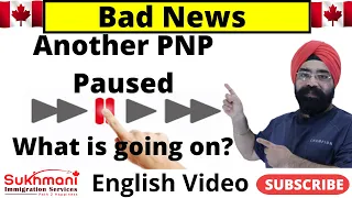 PNP Draws Temporarily Paused?||Reasons and Impact||English Video||Sukhmani Immigration||