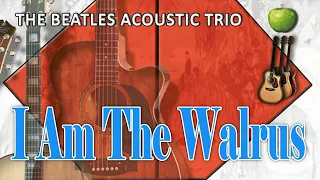 I Am The Walrus - The Beatles Acoustic Trio - Acoustic Cover Band