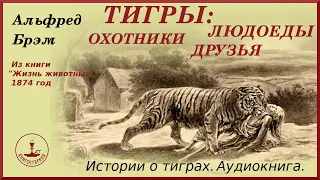 Тигры: истории о людоедах и друзьях. Аудиокнига по работам Альфреда Брема. (Редакция 1874г).