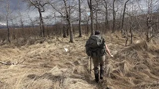 "Day 2" Shed Hunting for Moose Antlers - Stuck N The Rut 2020