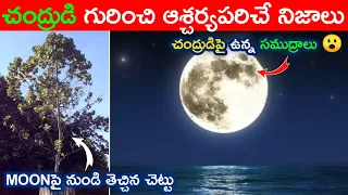 7 Amazing Facts About Moon in Telugu || Moon Facts || Telugu info guru