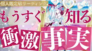 鳥肌が止まらない全体運🌈あなたがこれから知る衝撃事実❗️タロット＆オラクルカードリーディング