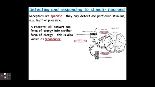 5.1.1 Communication and homeostasis a) The need for communication systems b) Cell signaling