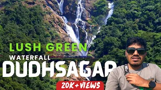 Solo | Dudhsagar Waterfall Trek by Rail Track During Monsoon | How to Reach Dudhsagar Waterfall Goa