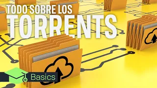 BitTorrent: ¿qué es y cómo funcionan los torrents?