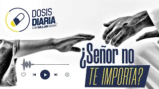 Dosis Diaria Roka - ¿Señor no te importa?