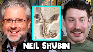 How Did Fish Become People? | Neil Shubin