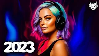 Bebe Rexha, Martin Garrix, Alan Walker, Charlie Puth🎧Music Mix 2023 🎧 EDM Remixes of Popular Songs