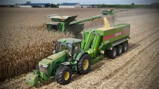 😱XXL MOISSON de MAÏS dans les LANDES | 28 RANGS | 2x S780i | NEW JOHN DEERE 9RX640