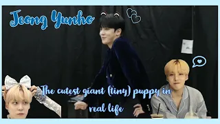 ATEEZ Jeong Yunho "The cutest giant (tiny) puppy in real life" | I love him so much:"