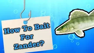 How to Bait for Zander?