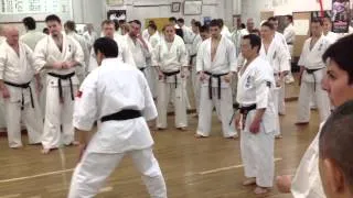 Kyokushinkan Bunkai Kumite Pinan Sono San