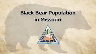 Black Bear Population in Missouri (2020)