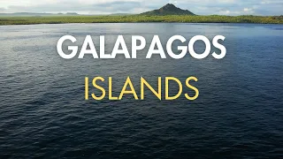 Explore the Galapagos 4K - 3 Hours Meditation Scuba Diving