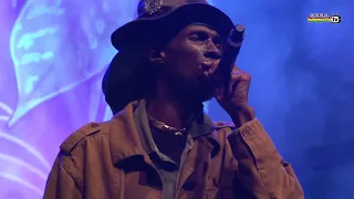 MIDNITE's singer VAUGHN BENJAMIN performs LOVE THE LIFE YOU LIVE live @ Rototom Sunsplash 2014