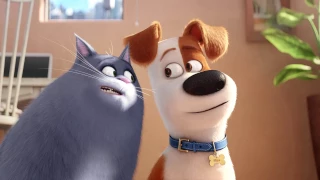 Collecting The Secret Life Of Pets Dubs