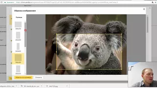 Раскрутка сайта обучение. Настраиваем Графические объявления в Яндекс Директ.