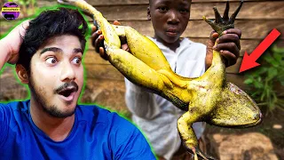 BIGGEST FROG Species in The WORLD🐸 |  दुनिया के सबसे बड़े FROG