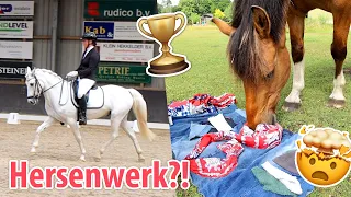 MEE op WEDSTRIJD & HERSENWERK voor paarden! | felinehoi VLOG #366