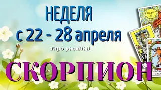 СКОРПИОН 🌷🌷🌷 НЕДЕЛЯ с 22 - 28 АПРЕЛЯ 2024 года Таро Прогноз ГОРОСКОП Angel Tarot