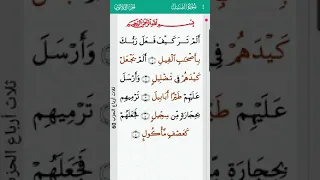 surah Al fil 105 | سورة الفيل - mishary rashid alafasy