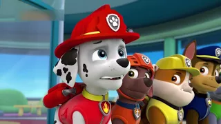 PAW Patrol full HD Pups Team Episode 21  Pups Save a Bat & Pups Save a Toof Funny Movies for KIDs Pa