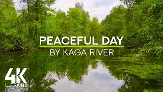 Gentle Sounds of Calm Forest River & Cheerful Birds Chirping - 4K Peaceful Day by Kaga River
