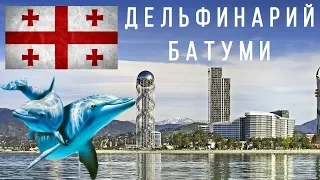 Поездка в Батуми, Дельфинарий, июнь 2018