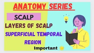 scalp and superficial temporal region// layers of scalp// extent of scalp// @medicalmedia355