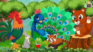 Wild Animal Sounds: Peacock, Red Panda, Chicken, Squirrel - Animal Sounds