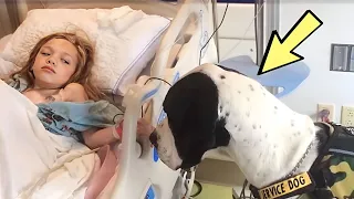 The dog Visits his owner's in Hospital to say goodbye. What happened next amazed everyone!