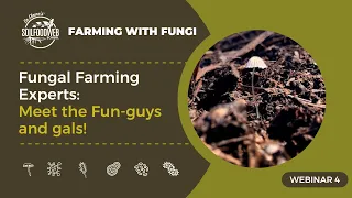 Fungal Farming Experts: Meet the Fun-guys and gals! | Farming with Fungi Part 4