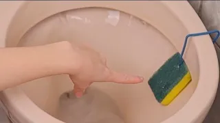 Just put one sponge in your toilet. Everyone will be delighted with this tip