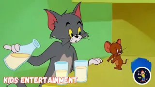 Tom & Jerry | Birthday Celebrations with Your Favourite Frenemies | kids cartoons | Animated cartoon