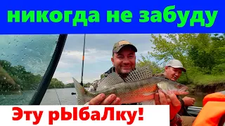 Рыбалка на Волжане 46 фиш! Бешенная РАЗДАЧА СУДАКА! Судаки ПРОСТО СДУРЕЛИ от этой приманки.