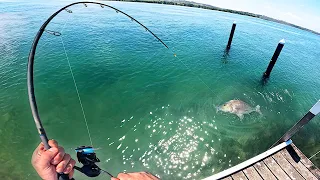 Extreme Light Tackle Jetty Fishing