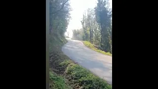 Kalle Rovanperä crash Croatia Rally WRC 2021