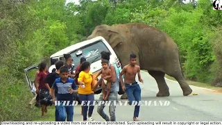 When the ferocious elephant attacked the van, a large number of people fell down and ran away.