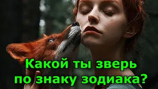 Какое животное соответствует вашему знаку зодиака. Какой ты зверь.