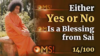 Either Yes or No is a Blessing from Sai | OMS - Episode 14/100