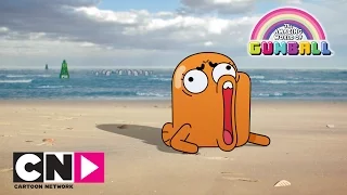 Darwin pornește pe drumul său | Uimitoarea lume a lui Gumball | Cartoon Network